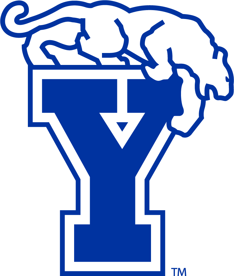 Brigham Young Cougars 1982-1999 Secondary Logo DIY iron on transfer (heat transfer)